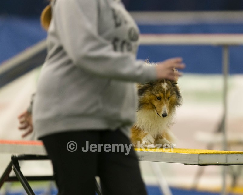 20150321-LEAP-1719.jpg