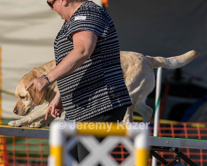 Ellie Smith