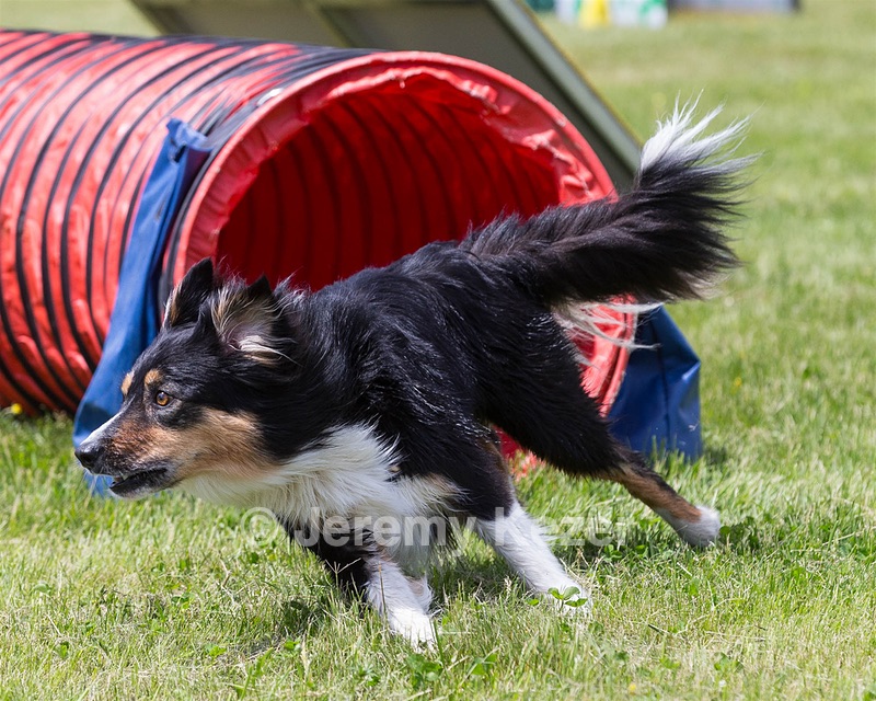 20160514-NEAT-0696.jpg