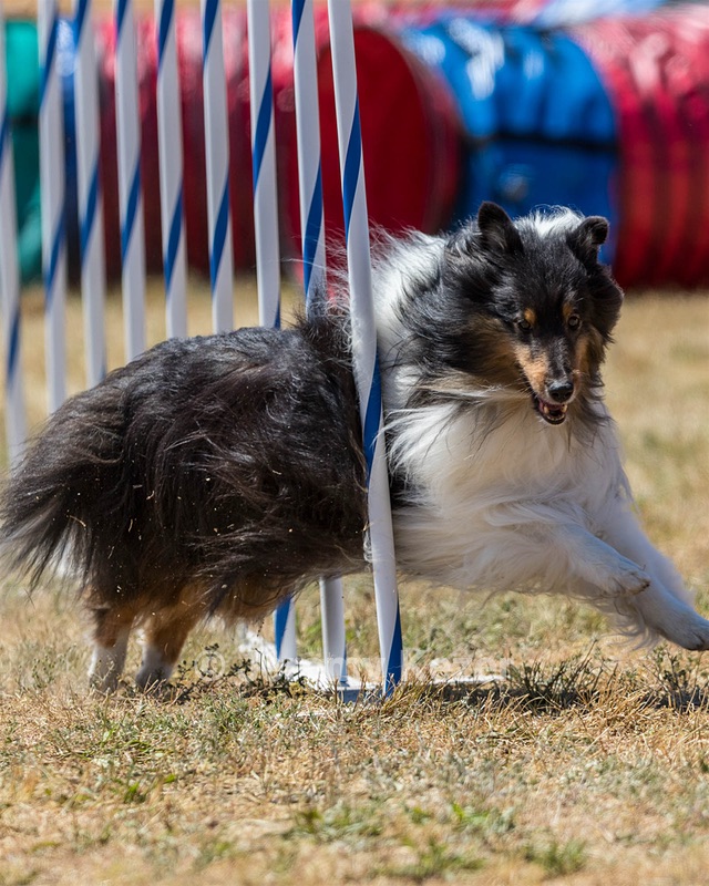 20160618-CCKC-1826.jpg