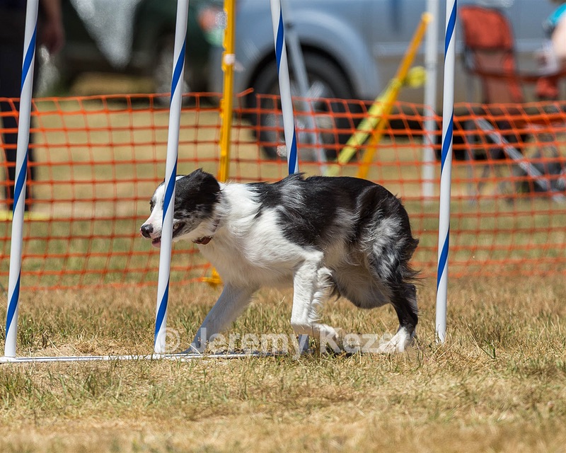 20160619-CCKC-1066.jpg