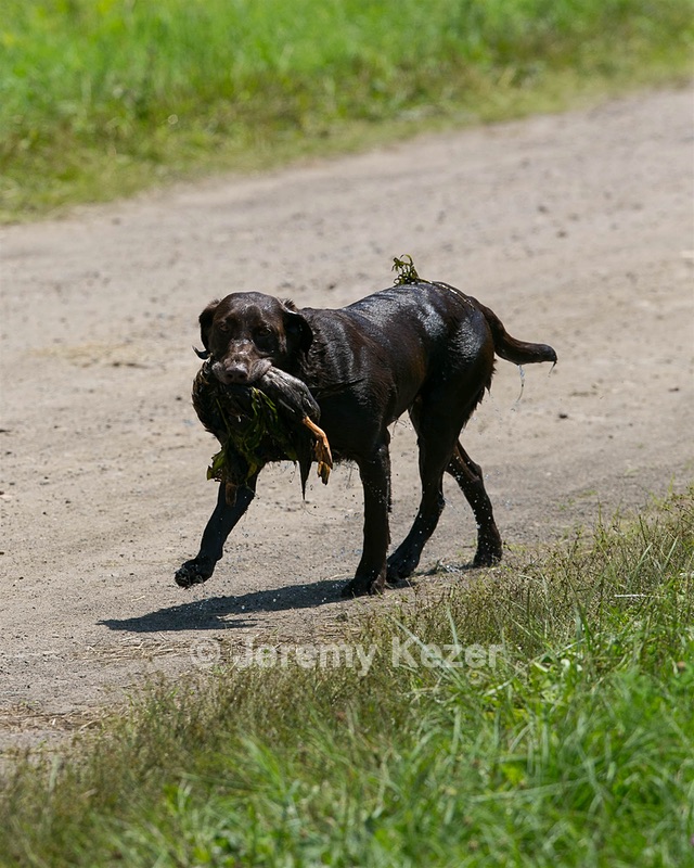 20130714-MHB2-0003.jpg