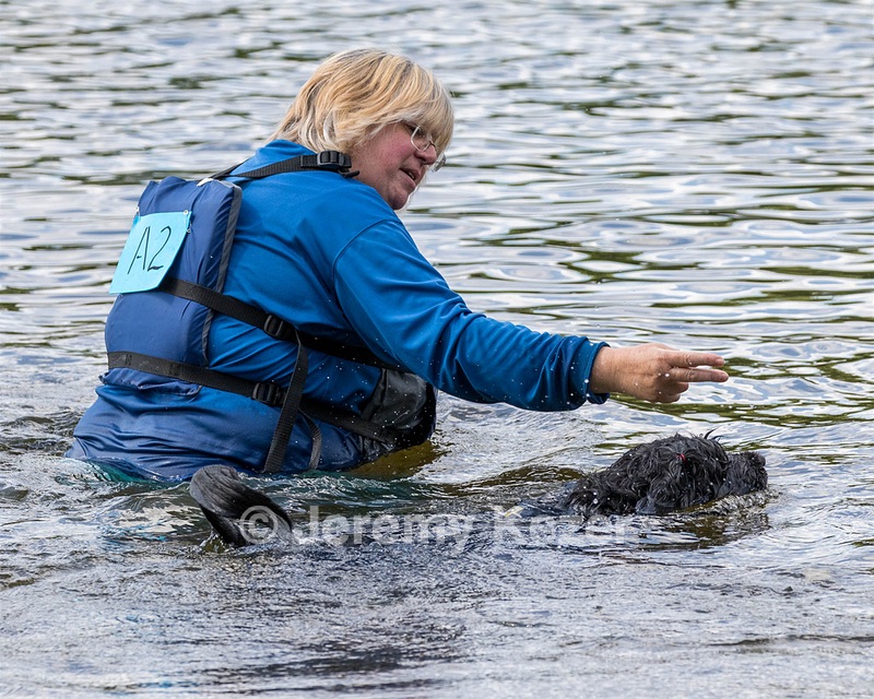Gillie
