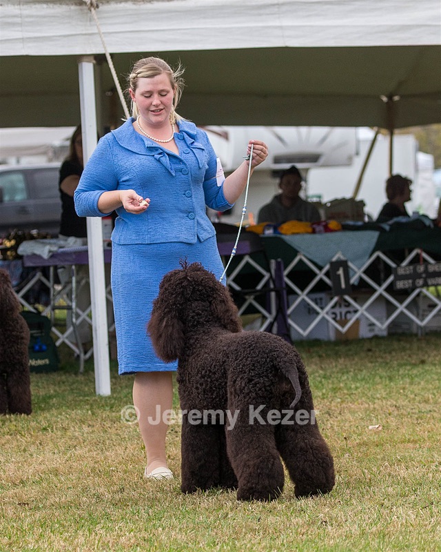 24 - GCH POOLE'S IDE SAY NO MORE CD RN CGC