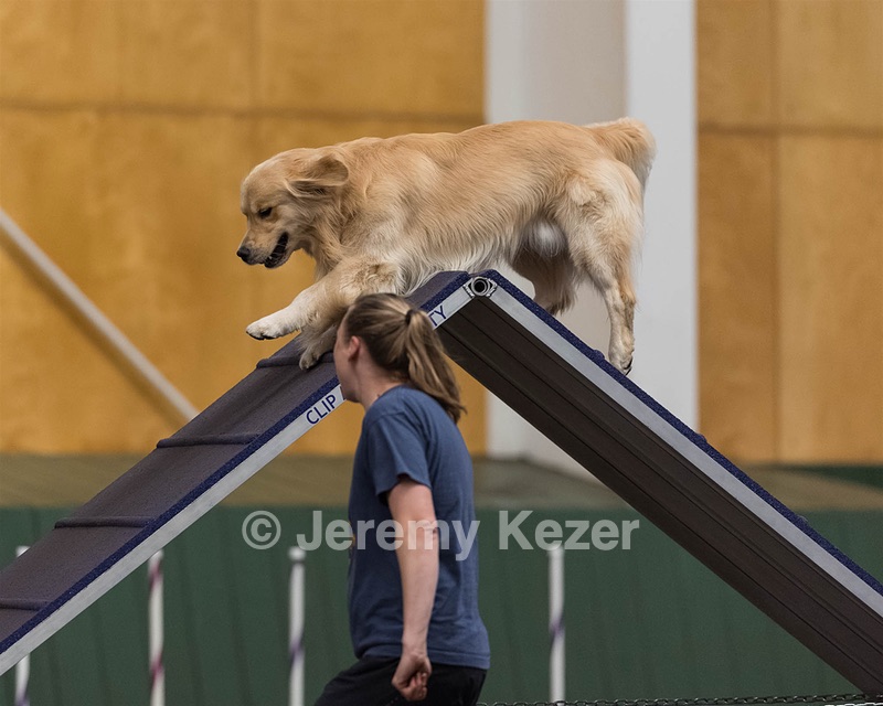 20260614-CCM-1002.jpg