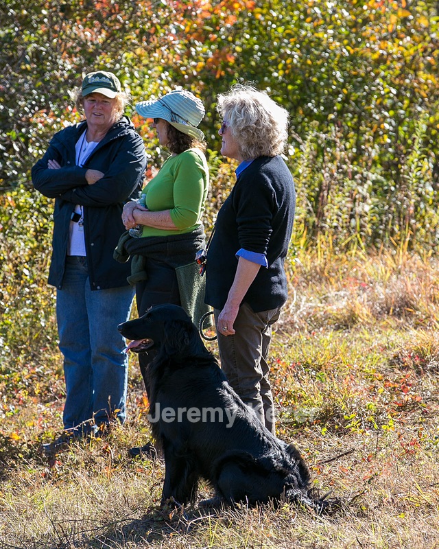 20151010-WCXW-0654.jpg