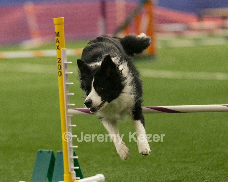20150321-LEAP-1476.jpg
