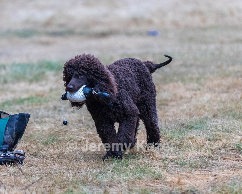 20210827-BD-0121.jpg