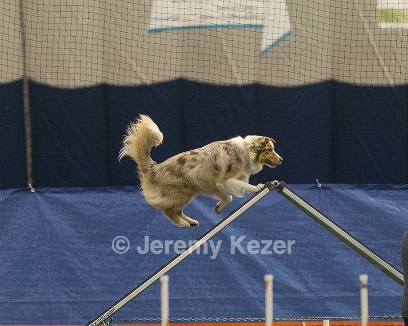 20150321-LEAP-0773.jpg