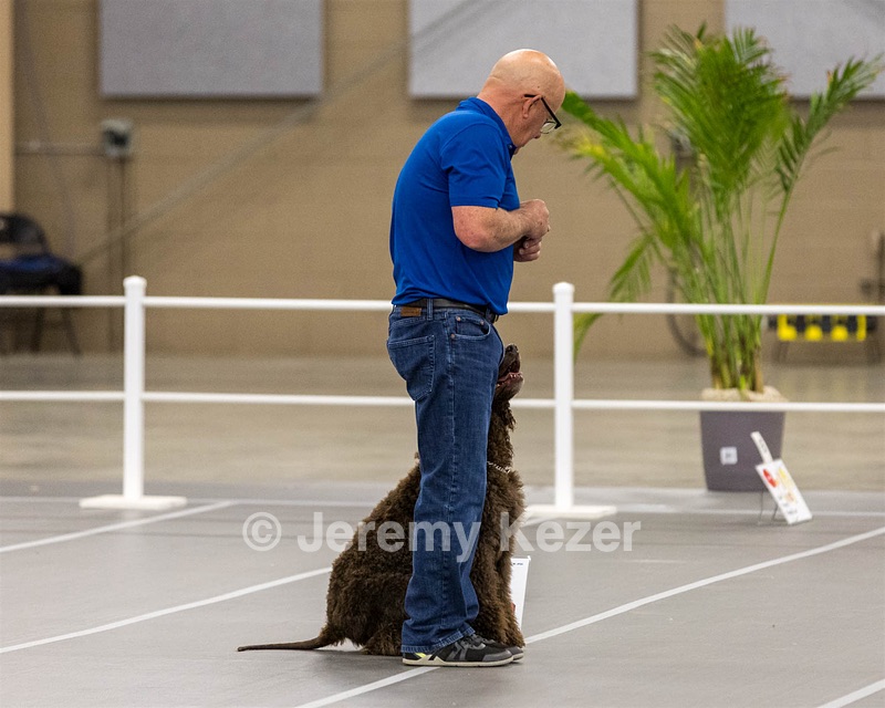 700 - GCH Blackthorn’s Lass That Loves A Sailor in Wicklow CD RM CGC