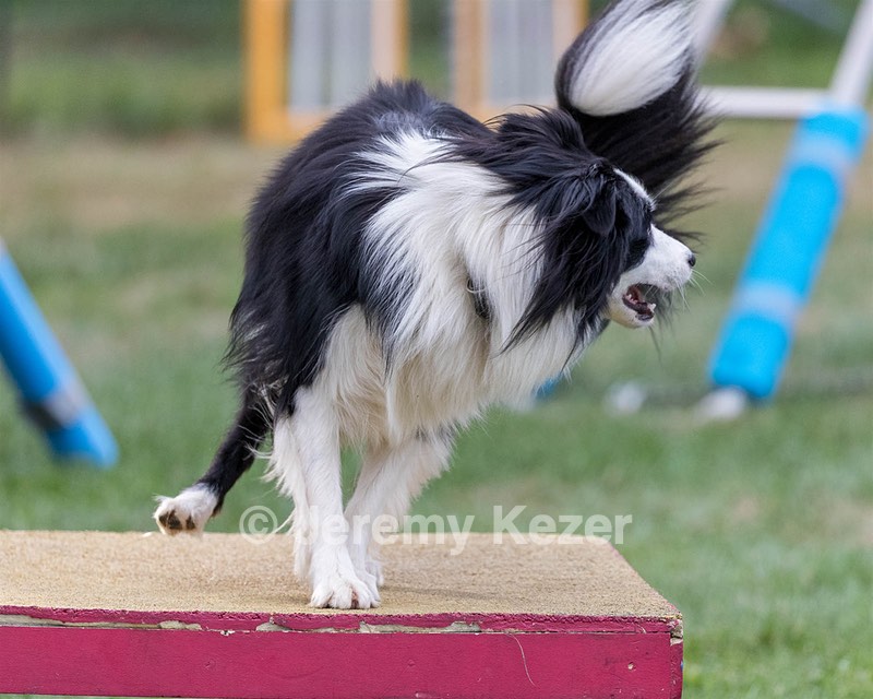 20200819-2869.jpg