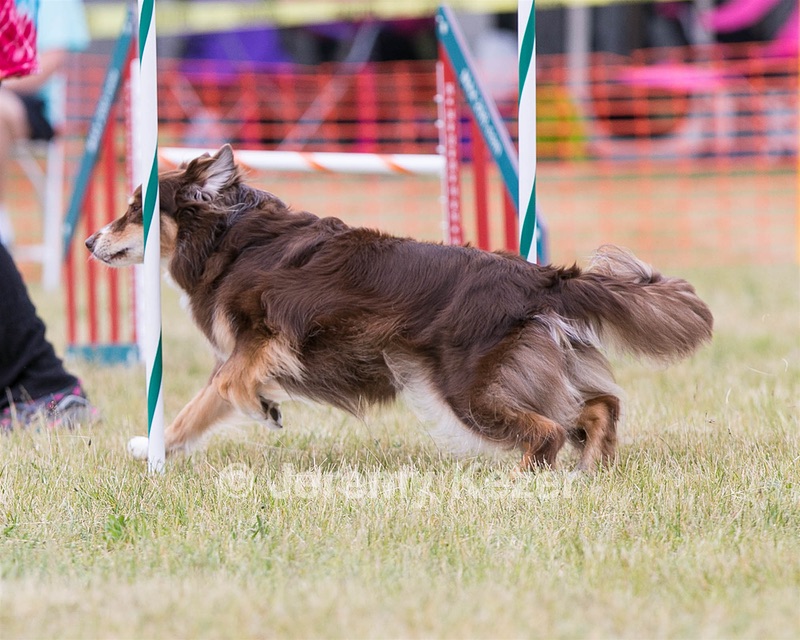 20150612-CCKC-0052.jpg