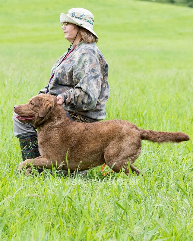 Hunter Law