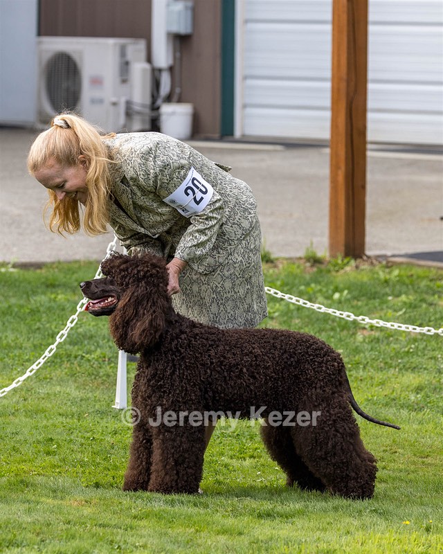 20 - CH COOMARA OGHA O'BOBN AT BELTANE CD BN RN BCAT RATO CGC TKI (Bob'N)