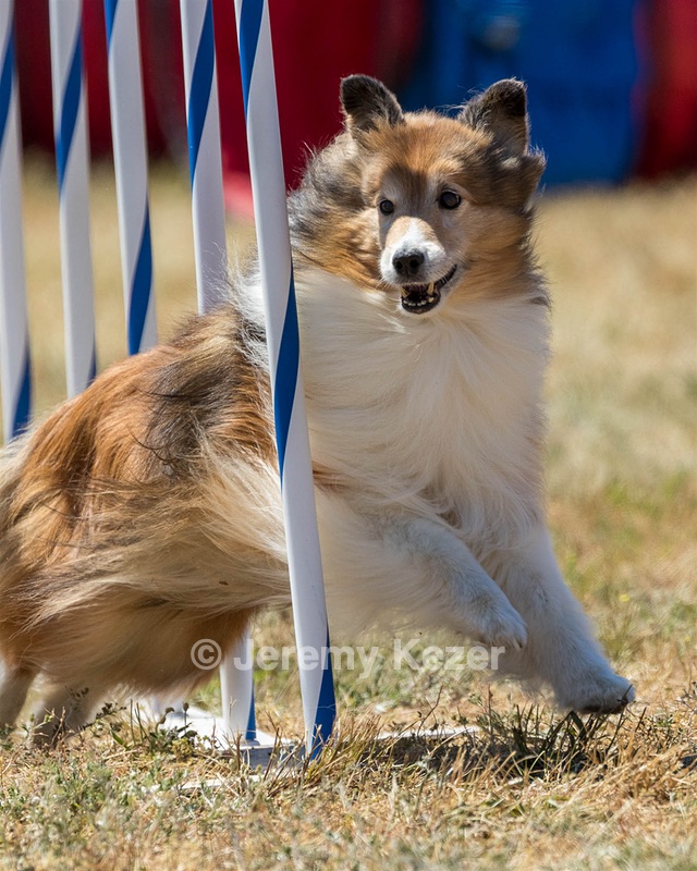 20160618-CCKC-1940.jpg