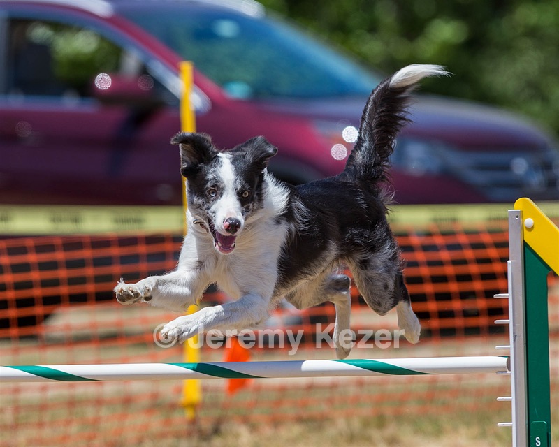 20160619-CCKC-1069.jpg