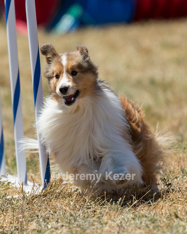 20160618-CCKC-1901.jpg