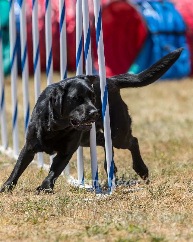 20160618-CCKC-1644.jpg
