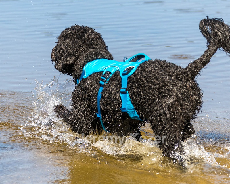 Fenwick Janet