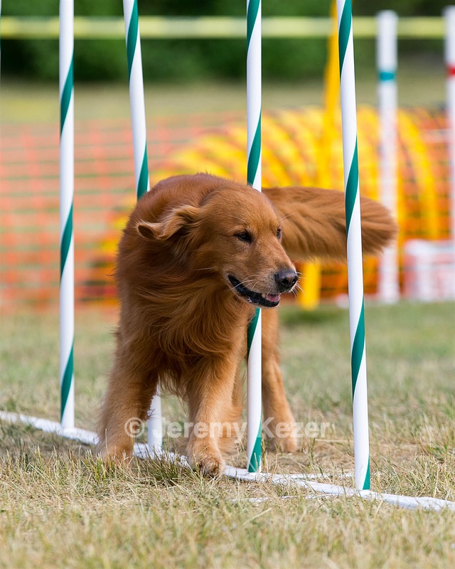 20150614-CCKC-0081.jpg
