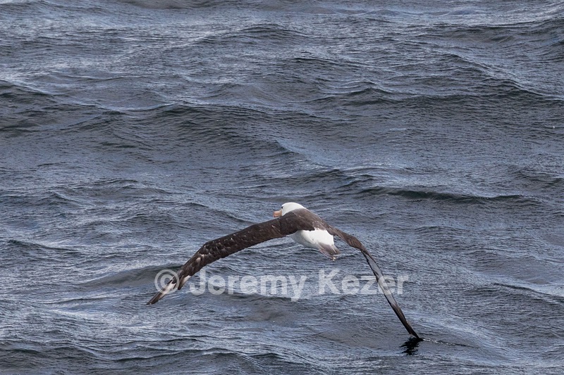 20260325-0054.jpg