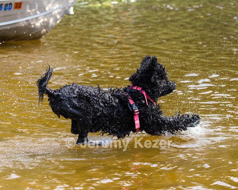Xena Phyllis
