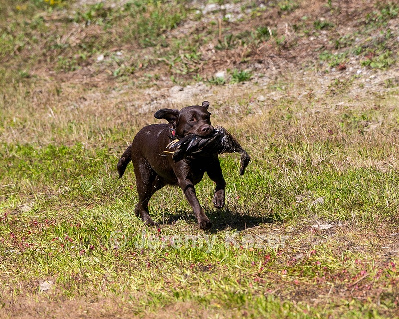 Winnie