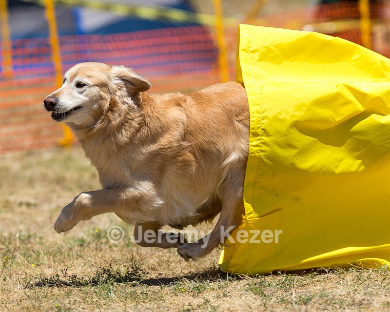 Odie Seney
