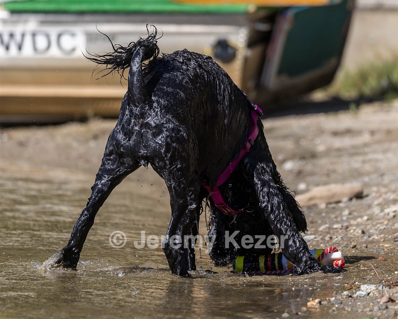 Penny Toby-Ann