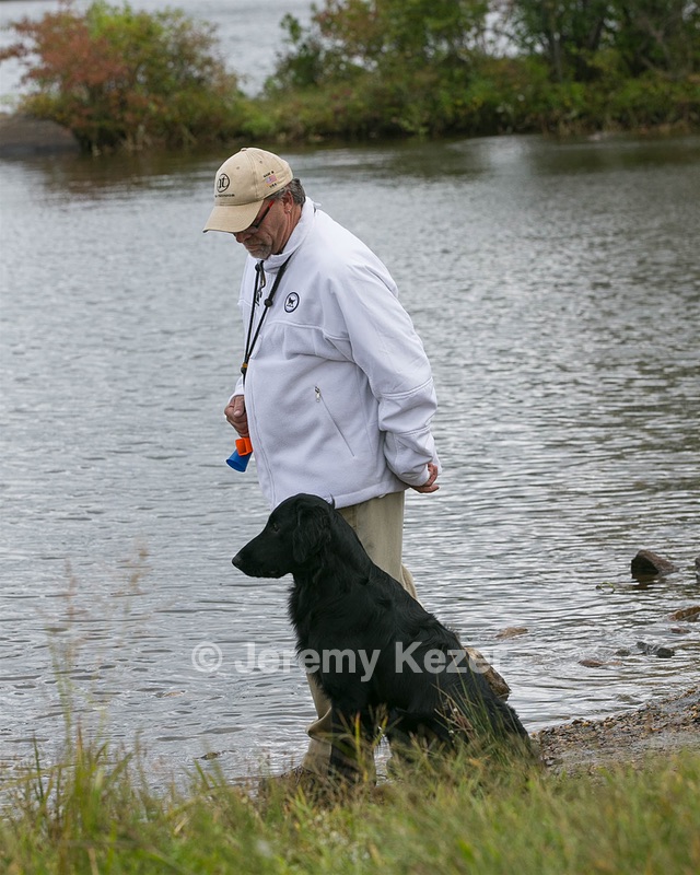 Al