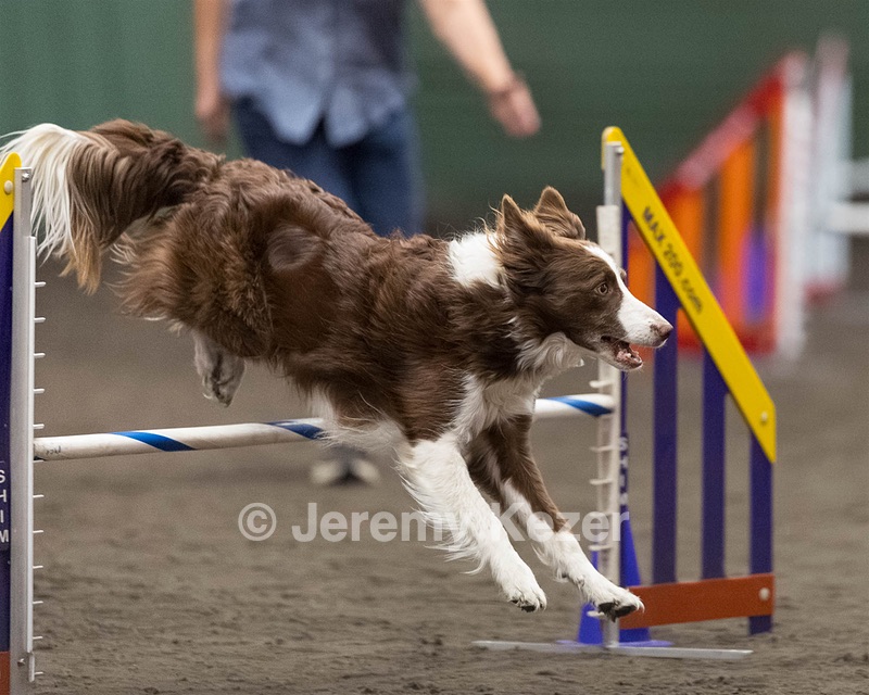 Ruff Bettler