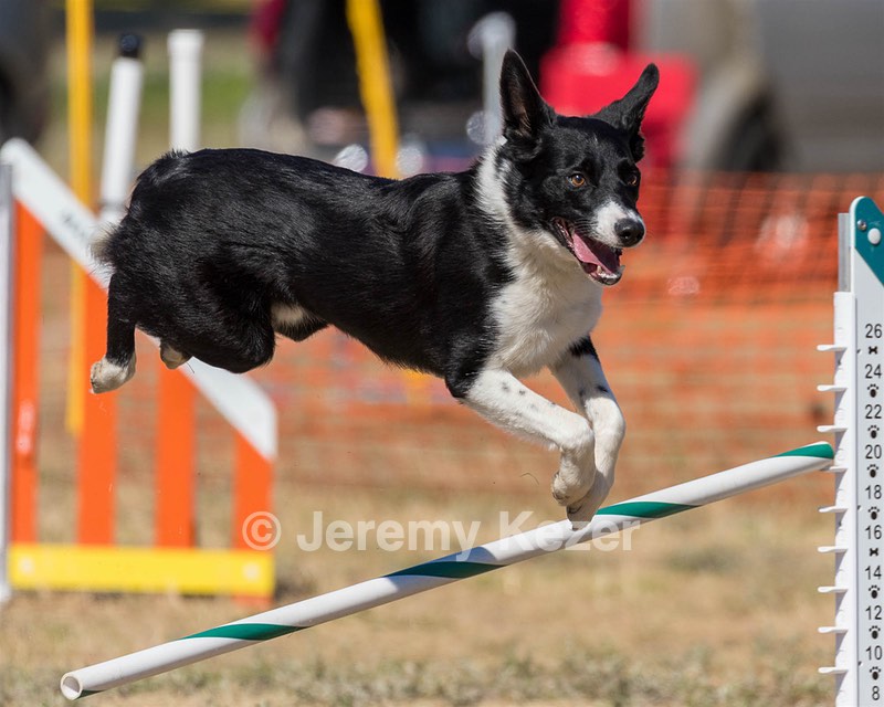 20160619-CCKC-1810.jpg