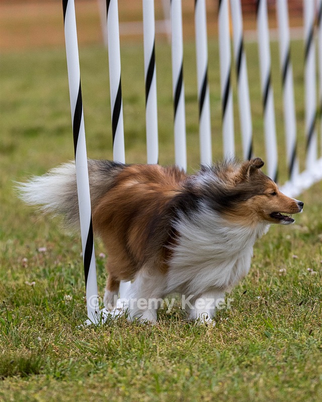 20190616-CCKC-0484.jpg