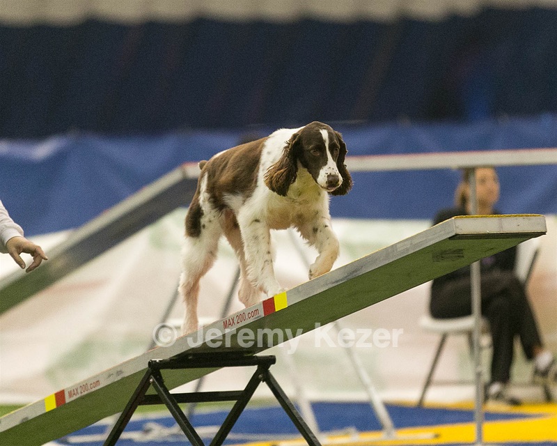 20150321-LEAP-1435.jpg