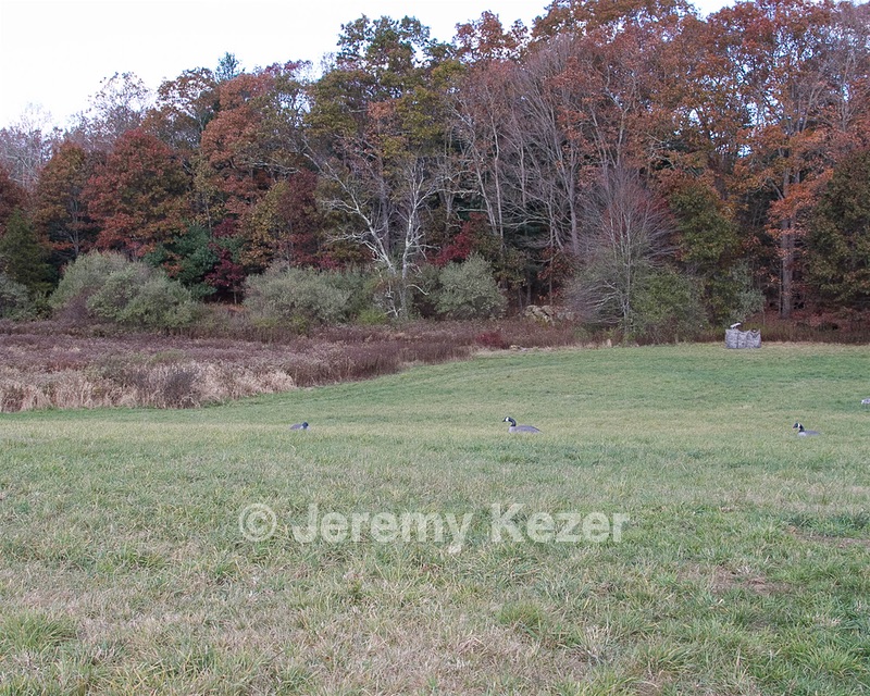 20131027-C-0009.jpg