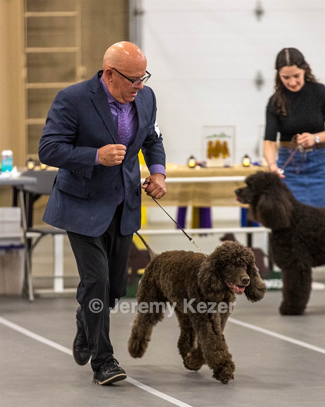 36 - GCH Blackthorn’s Lass That Loves A Sailor in Wicklow CD
RM CGC