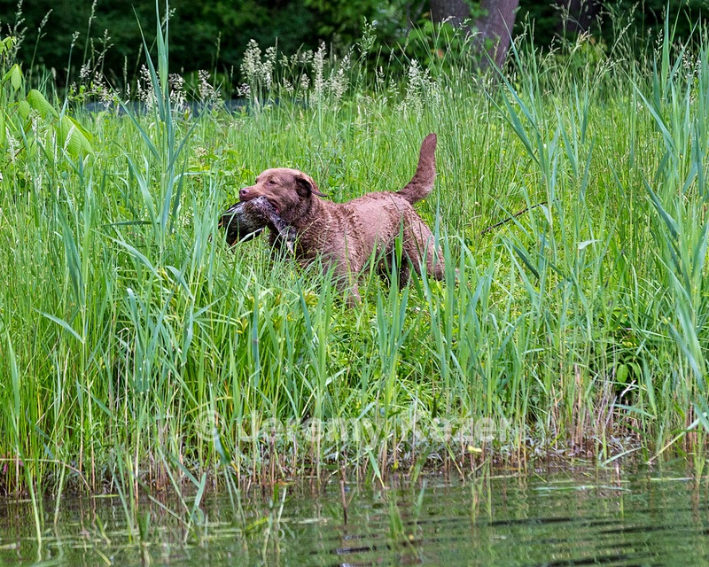 Hunter Law