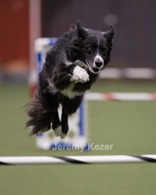 Breeze Schunk
