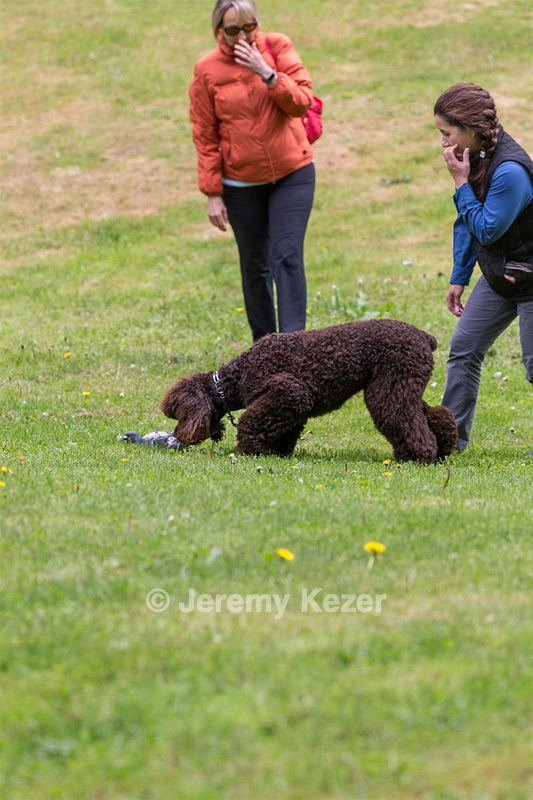 20190512-BD-0042.jpg