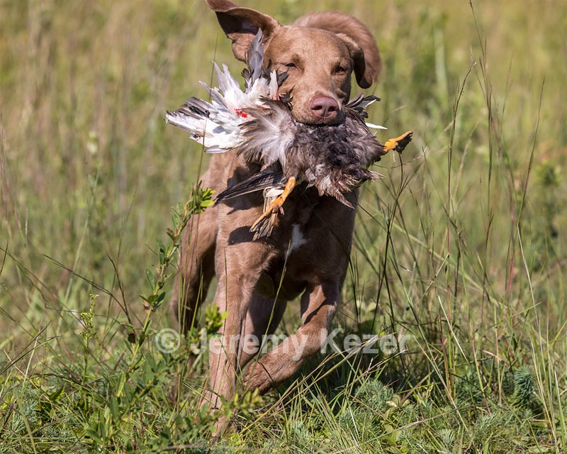 Timber O'Neil