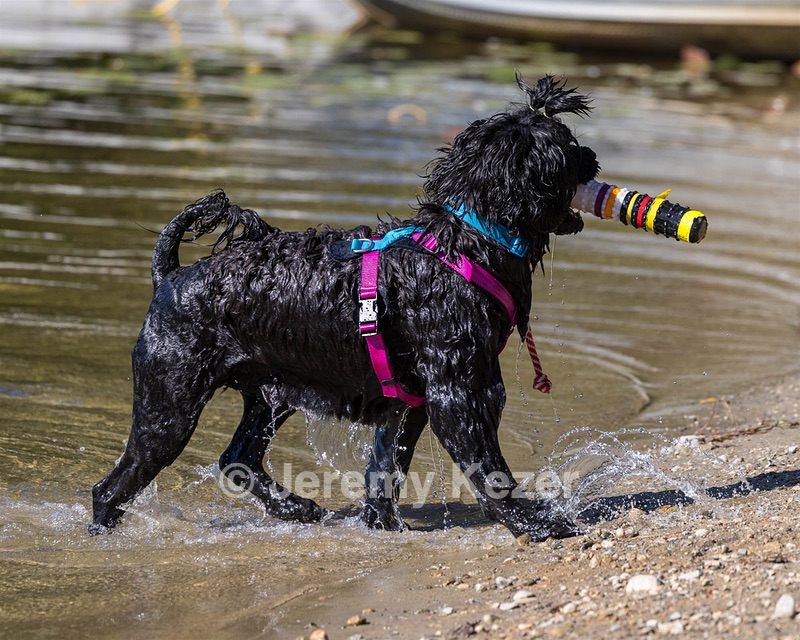 Penny Toby-Ann