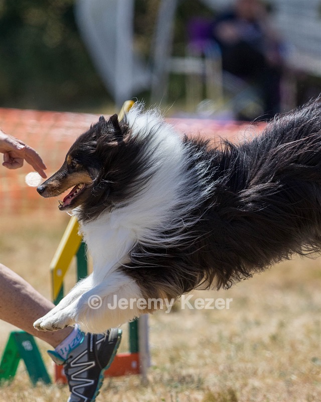20160618-CCKC-1819.jpg