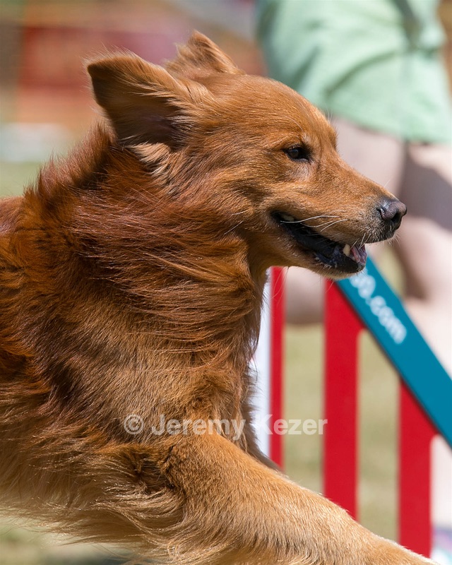 20150613-CCKC-0087.jpg
