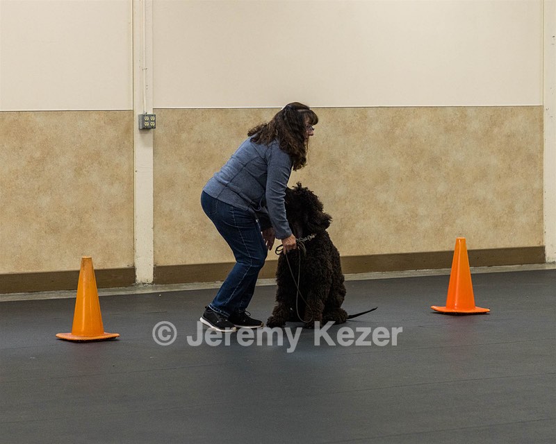 1741 - FLINTCREST FIRST STRIKE FINTAN (Fintan)