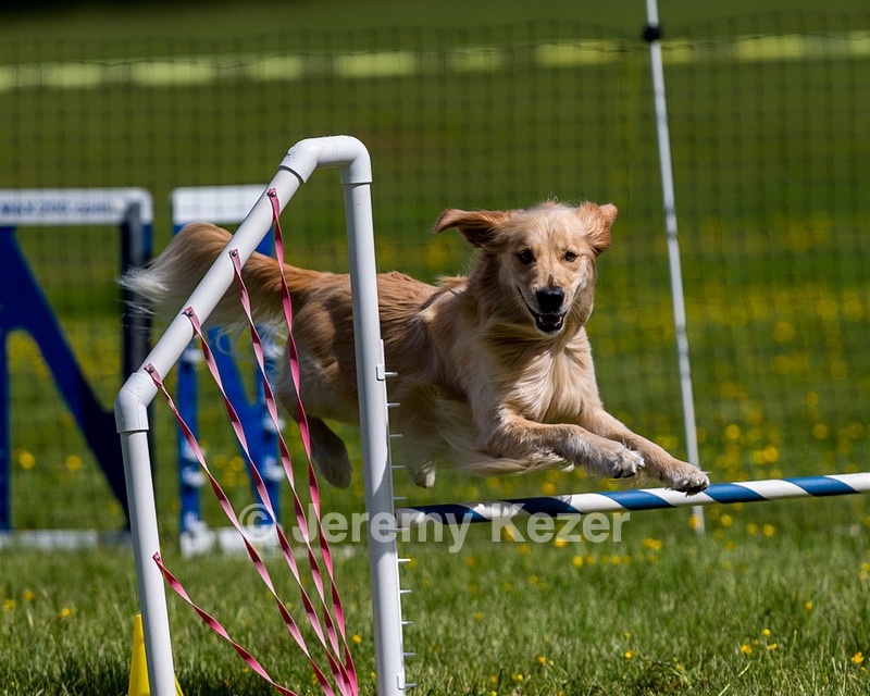 Ollie Erbe