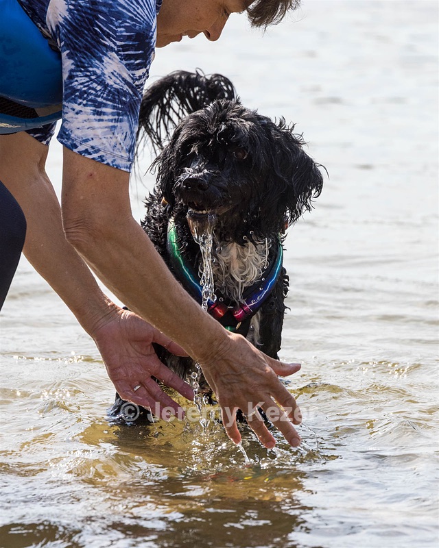 Gabi Robinson