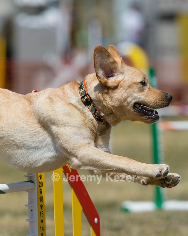 20150614-CCKC-1731.jpg