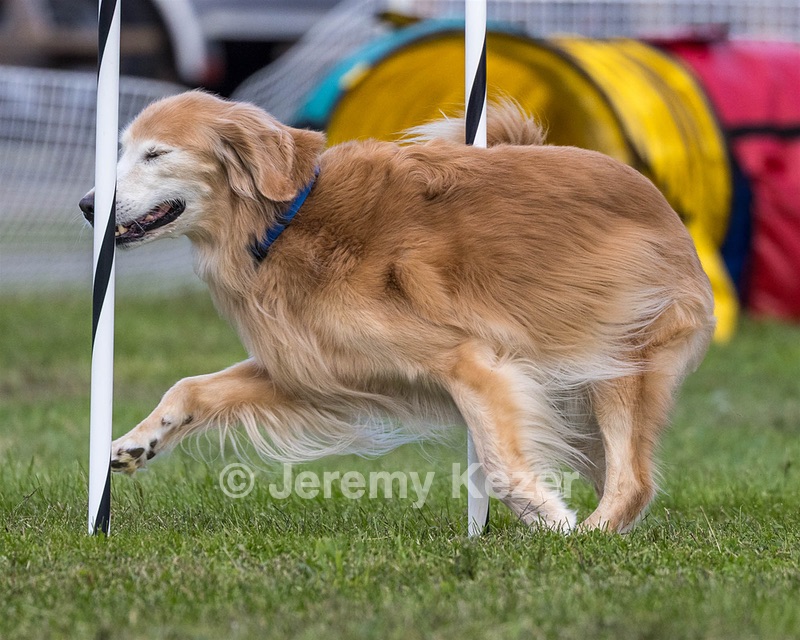 20230917-PVKC-2794.jpg