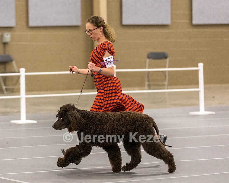 17 - Ballyhoo’s V Finnegan Mcneill BN FDC CA BCAT DS DJ CGCA TKN VHMA JH JHU WD