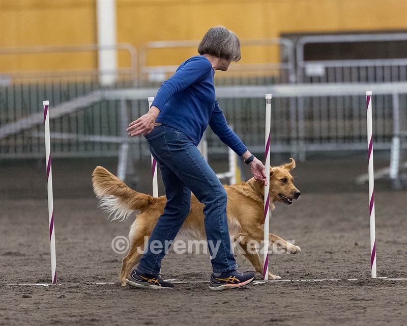 Rowdy Black